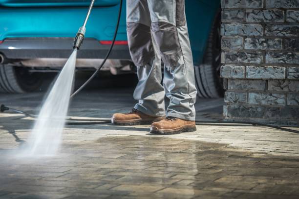Best Boat and Dock Cleaning  in Brighton, MI