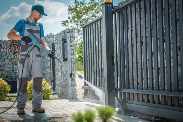 Best Graffiti Removal  in Brighton, MI