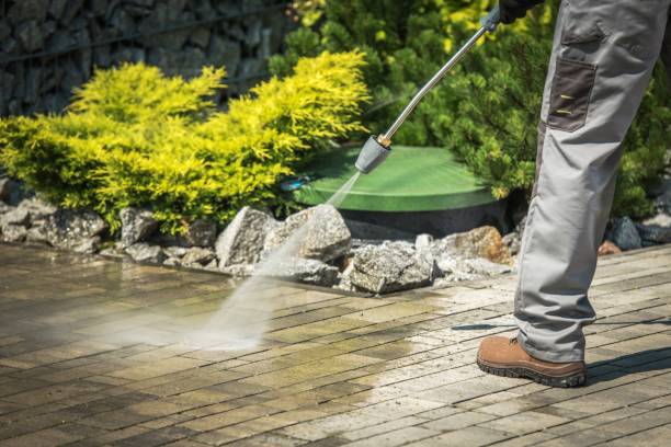 Best Pre-Holiday Cleaning  in Brighton, MI