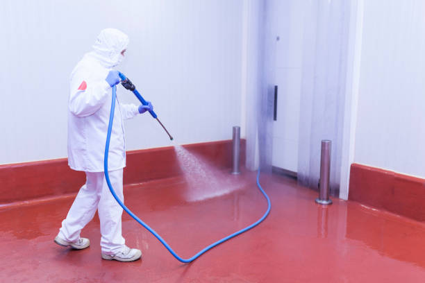 Best Pre-Holiday Cleaning  in Brighton, MI