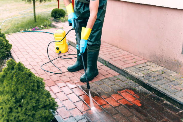 Best Building Exterior Washing  in Brighton, MI